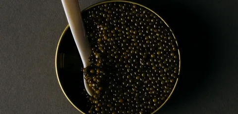 تصویر 1 از خاویار اصل کیفیت ممتاز بی نظیر سفره پذیرایی رسمی